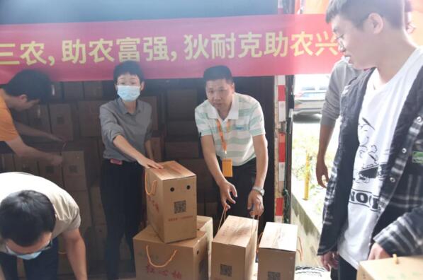 聚焦三農(nóng)，心系三農(nóng) | 狄耐克開展公益助農(nóng)行動(dòng)