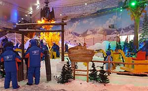 長(zhǎng)沙奧特萊斯冰雪奇園通道閘案例