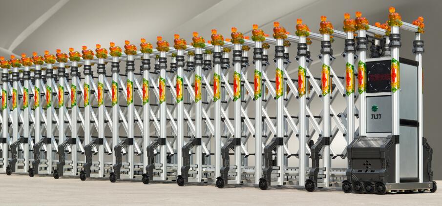 電動伸縮門 - 經(jīng)典龍蟠門 XJZ-001