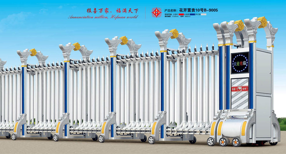 花開富貴10號B-9005