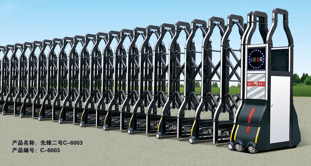 電動(dòng)伸縮門 - 先鋒二號(hào)C-6003