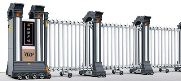 其他 - 魚躍龍門2號