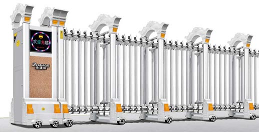 其他 - 魚躍龍門4號