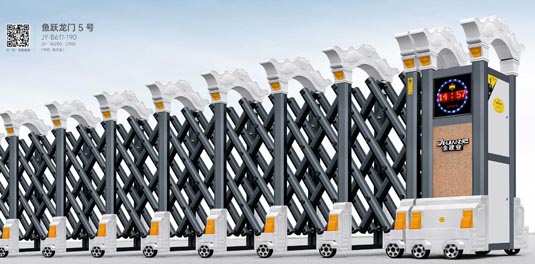 其他 - 魚躍龍門5號