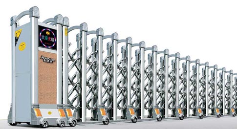 其他 - 招財進寶9號