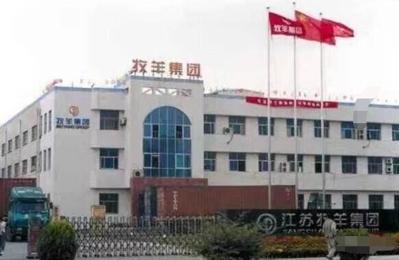 揚(yáng)州出安智能電動(dòng)伸縮門亮相在江蘇牧羊集團(tuán)有限公司大門口