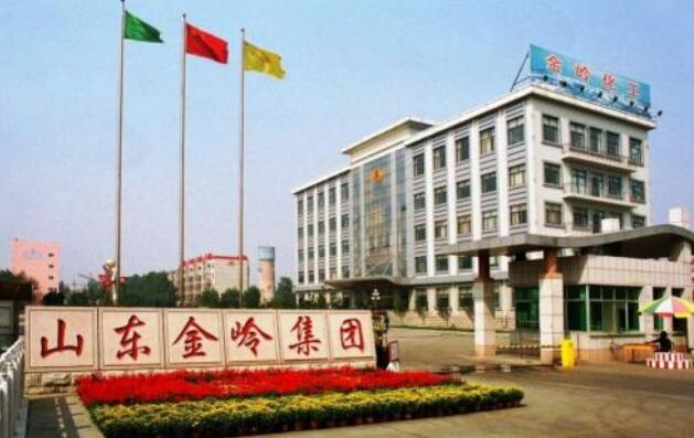 東營(yíng)出安智能為山東金嶺集團(tuán)有限公司添加卷簾門