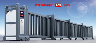 電動(dòng)平移門(mén) - 智能伸縮平移門(mén)703