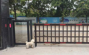 廣東省東莞市常平鎮(zhèn)木棆村環(huán)常北路