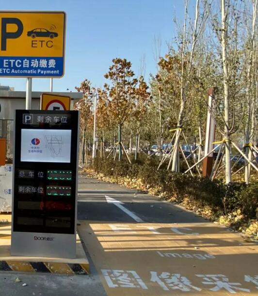 道爾全方位視頻引導(dǎo)