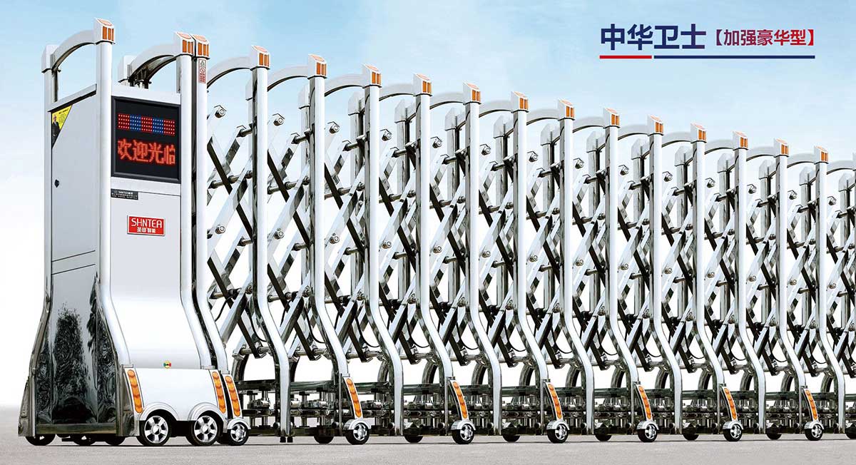 中華衛(wèi)士（加強豪華型）