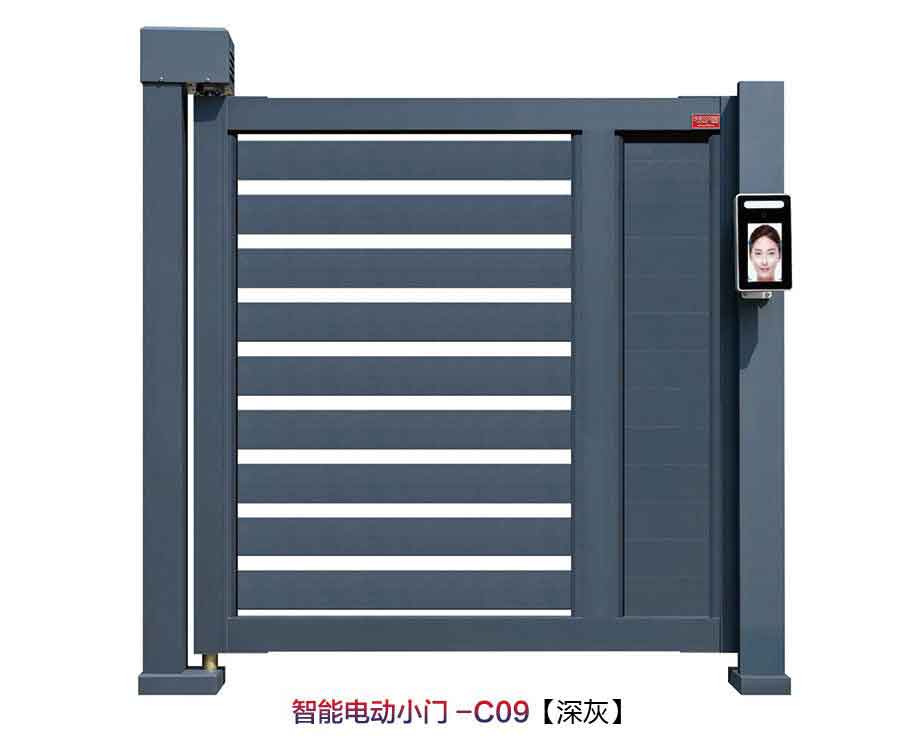 其他 - 智能電動小門C09