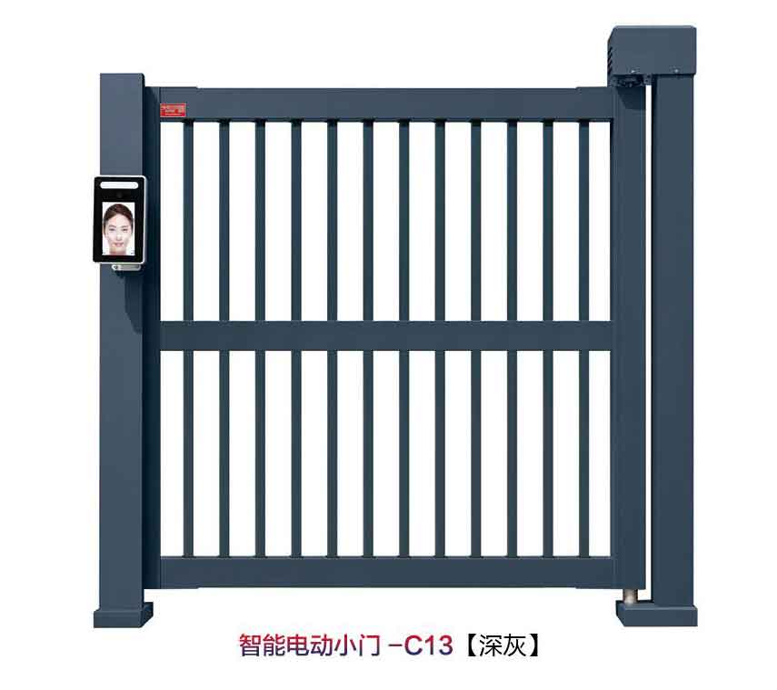 智能電動(dòng)小門C13
