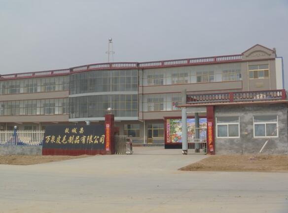 祝賀故城縣萬(wàn)泉皮毛制品有限公司迎來(lái)衡水出安智能電動(dòng)伸縮門(mén)