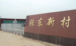 衡水市景縣龍華鎮(zhèn)張東新村新居民小區(qū)電動(dòng)伸縮門(mén)案例