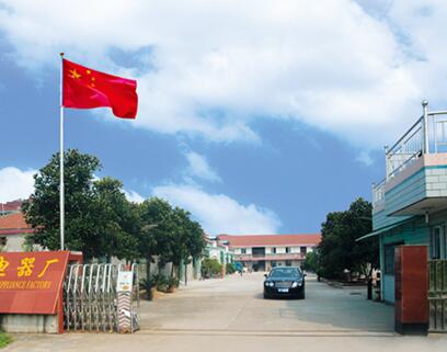 衢州出安智能電動(dòng)伸縮門讓洪劍電器顯得更有個(gè)性