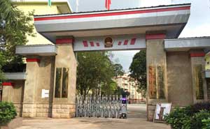 梧州藤縣太平鎮(zhèn)人民政府電動(dòng)伸縮門(mén)案例