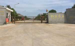 咸寧柏莊茶業(yè)懸浮門案例