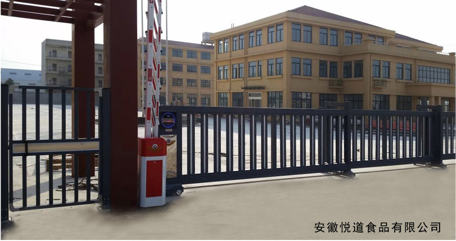 六安出安智能懸浮平移門進駐安徽悅道食品有限公司