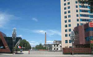 朝陽(yáng)東風(fēng)朝陽(yáng)柴油機(jī)有限責(zé)任公司電動(dòng)伸縮門案例