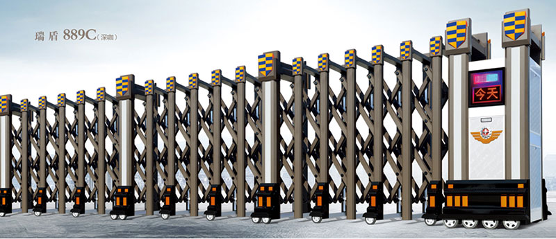 瑞盾7000C型（深咖）