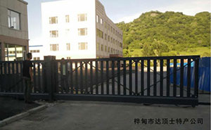 樺甸市達(dá)頂土特產(chǎn)公司平移門(mén)