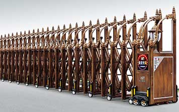 電動(dòng)伸縮門 - 東方神龍網(wǎng)花一號(hào)伸縮門