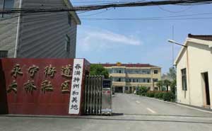 永寧街道大橋社區(qū)電動伸縮門工程 - 中出網(wǎng)-智能出入口與停車充電門戶