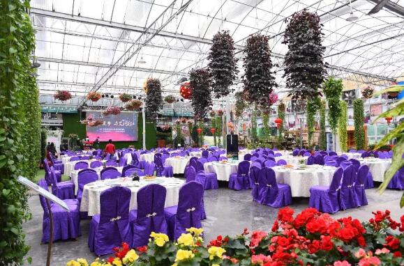 攜手筑夢，與艾同行 —— 2018艾科智泊年度表彰大會暨迎春晚會！