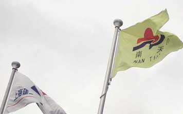 LED燈光景觀旗桿