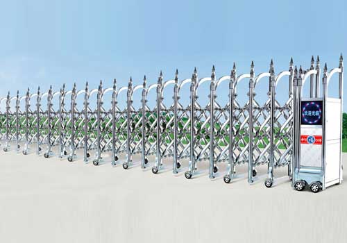 櫻槍網(wǎng)花DH-020伸縮門(mén)