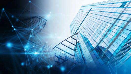 歷階而上 共建美好