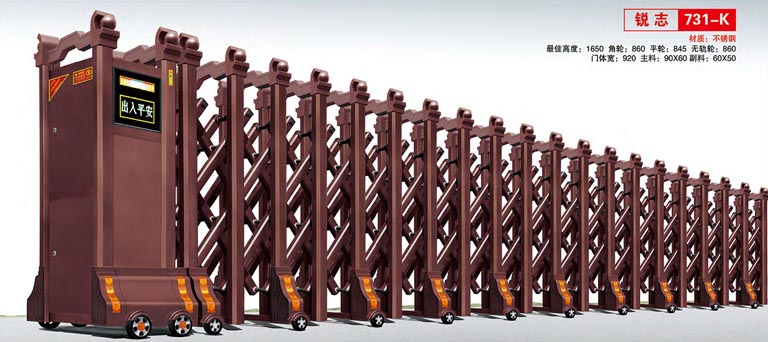 其他 - 銳志731-K