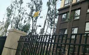 重慶昕暉?香緹時(shí)光小區(qū)電子圍欄案例 - 中出網(wǎng)-智能出入口與停車充電門戶