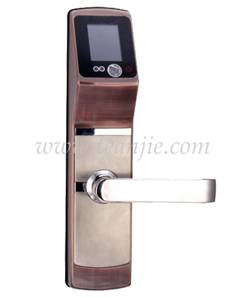 人臉識別鎖-紅古銅