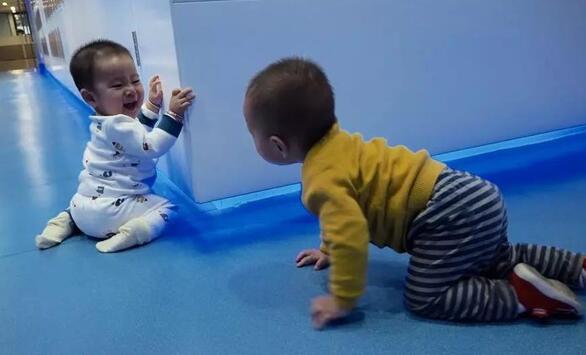 這是玩起了爬行大賽還是躲貓貓呢？開心就好！