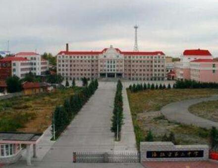 呼倫貝爾出安智能電動(dòng)伸縮門(mén)被海拉爾第二中學(xué)應(yīng)用  